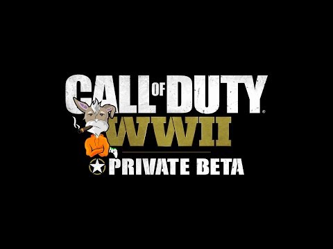 Call of Duty: WWII Private Beta